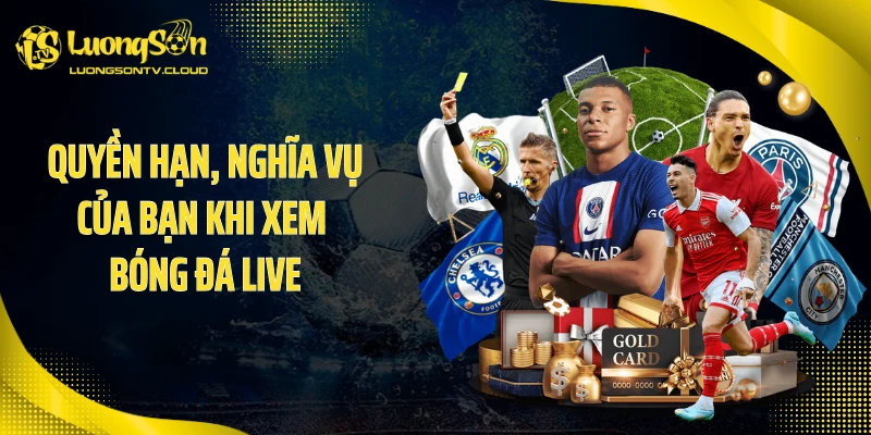 Quyền hạn, nghĩa vụ của bạn khi xem bóng đá live